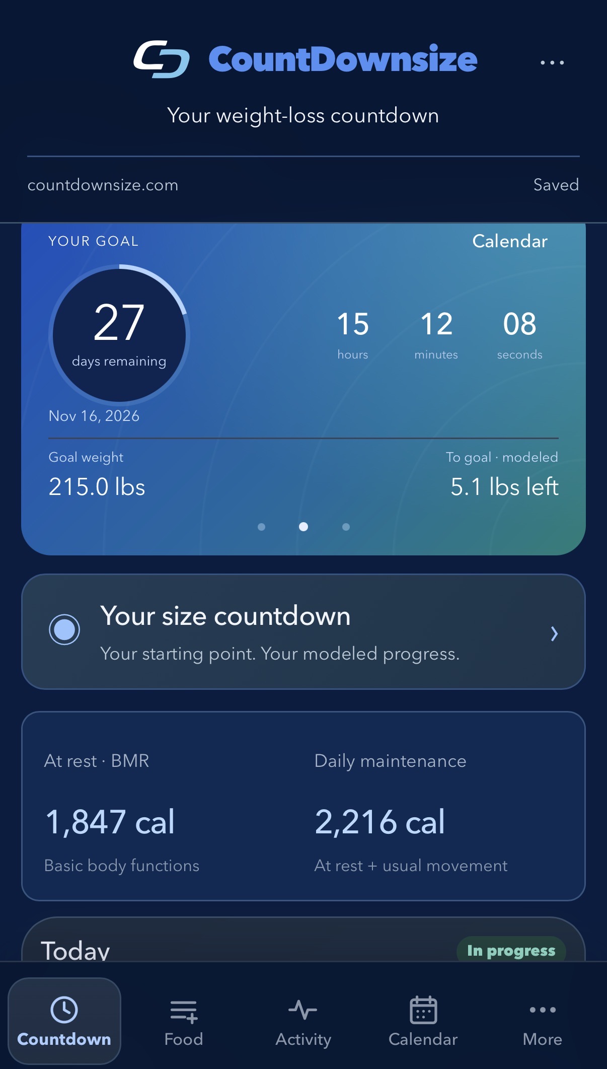 CountDownSize showing a goal countdown, days remaining and the Your size countdown feature
